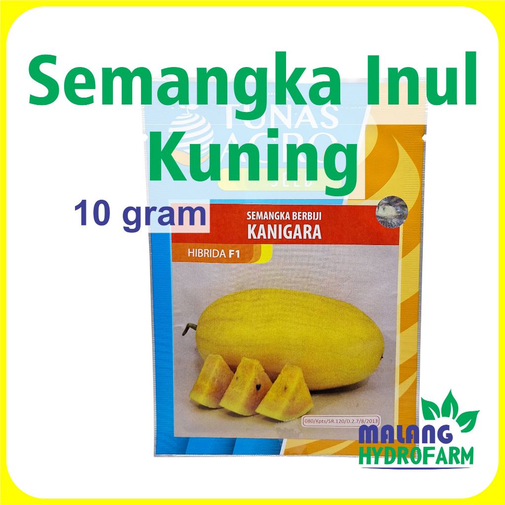 Benih Semangka Inul Kuning Kulit Kuning Kanigara F1 10 gram Tunas Agro hibrida bibit biji buah water