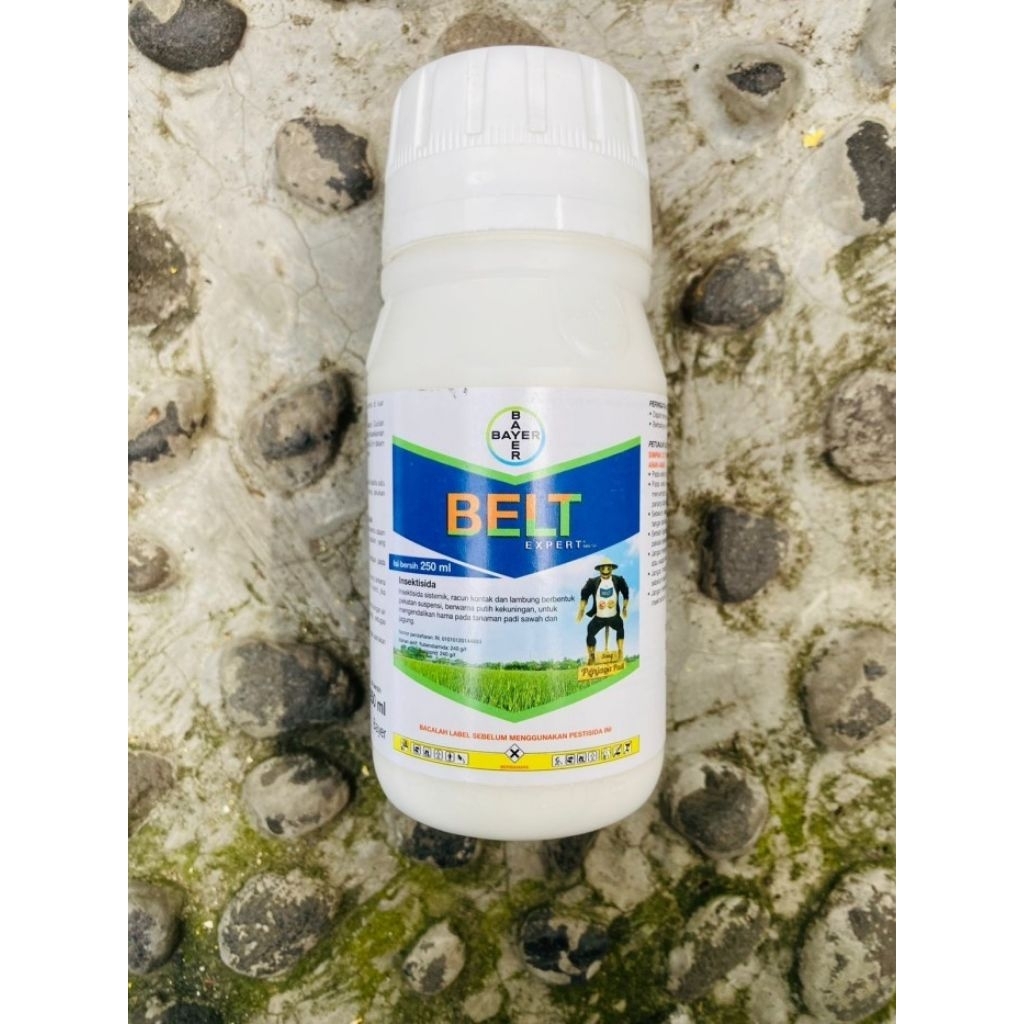 insektisida belt expert 480sc 250ml