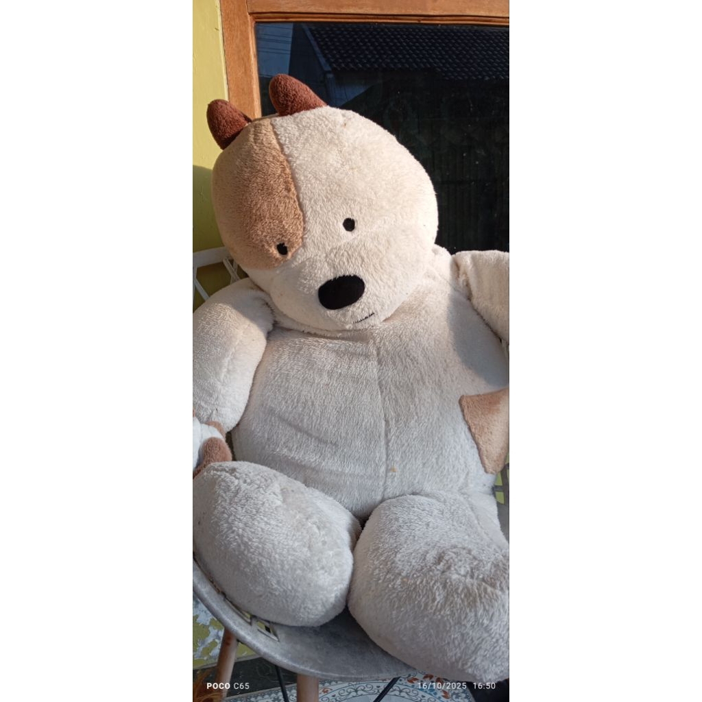 boneka berung besar 1meter brand dingo town
