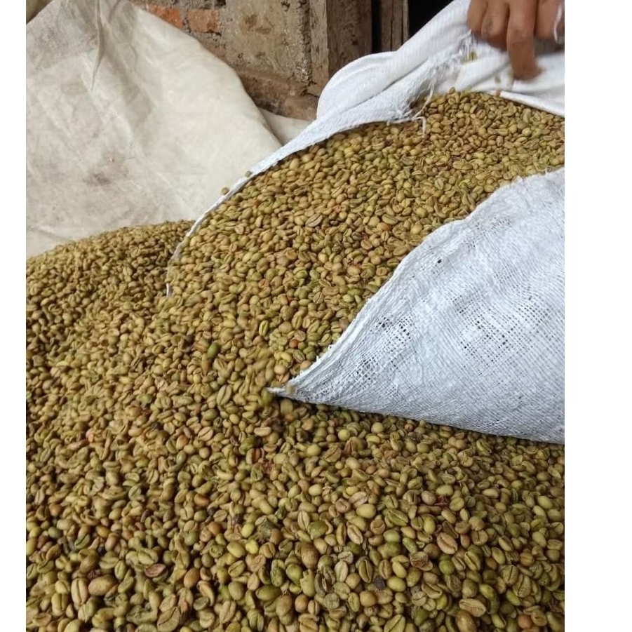 kopi kering robusta GREEN BEAN asli KHAS kaki gunung ARGOPURO JEMBER, KOPI KERING
