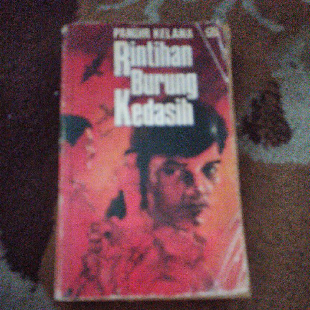 novel Rintihan Burung Kedasih by Pandir Kelana