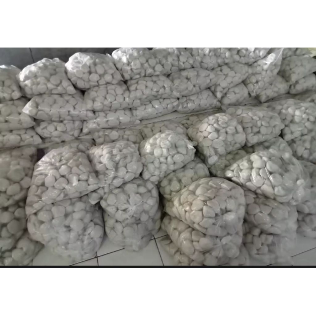 BASRENG IKAN MENTAH ISI 10 KG