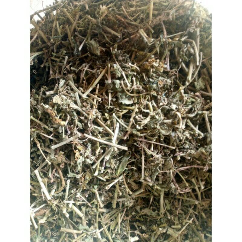 Daun Katemas Kering / Daun Kate mas Kering Herbal Alami
