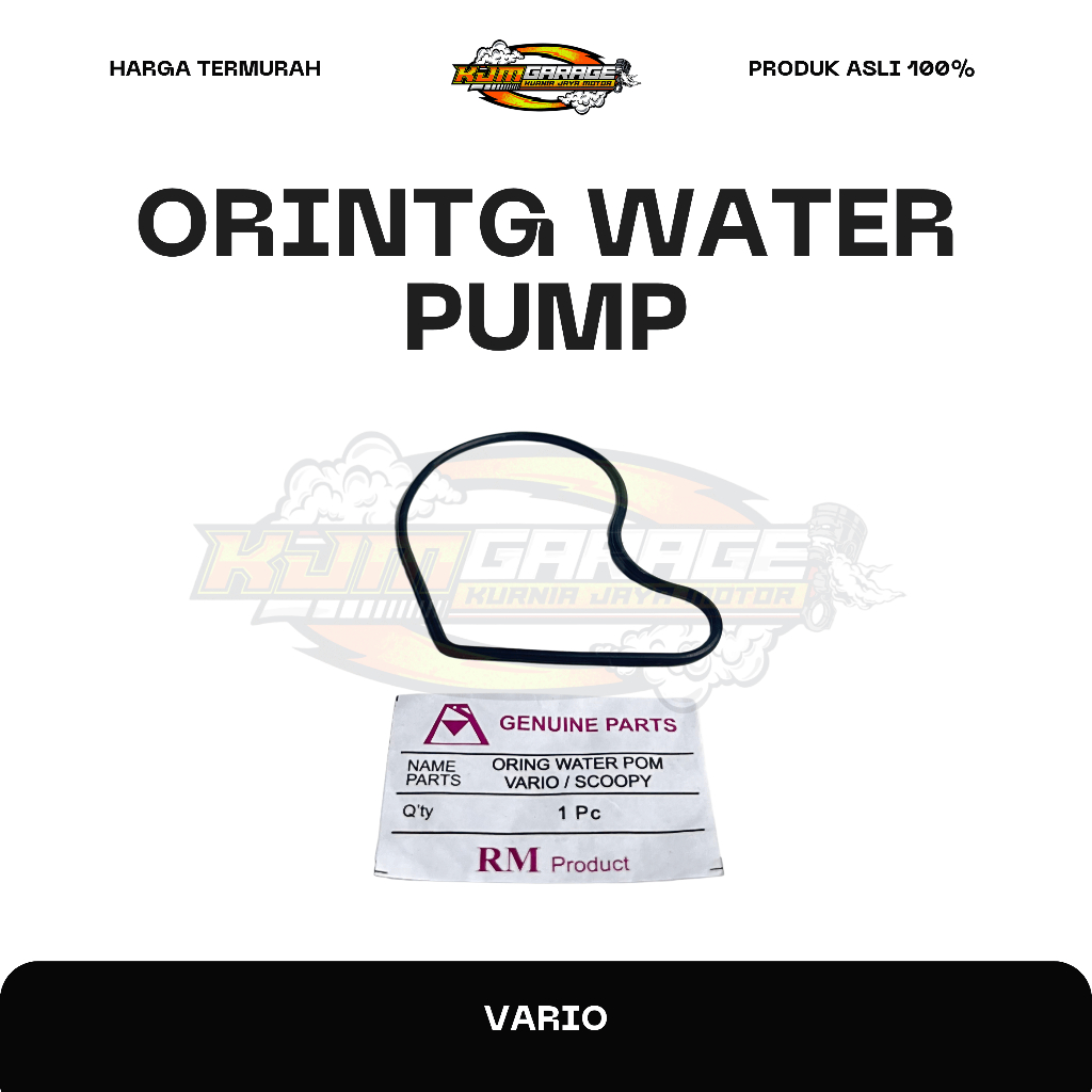 Oring Water Pump Vario 110 RM