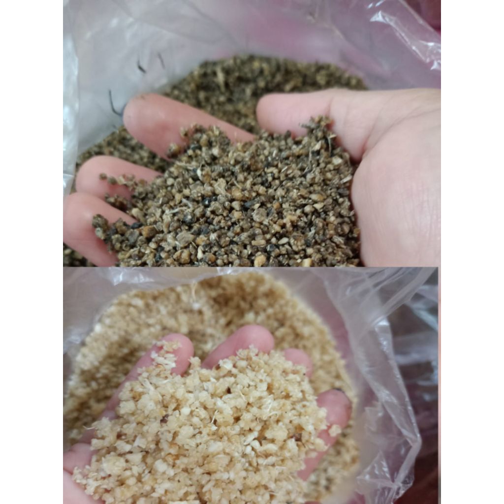 Gatot & Tiwul Sego Thiwul khas Blitar 500gr Siap Saji