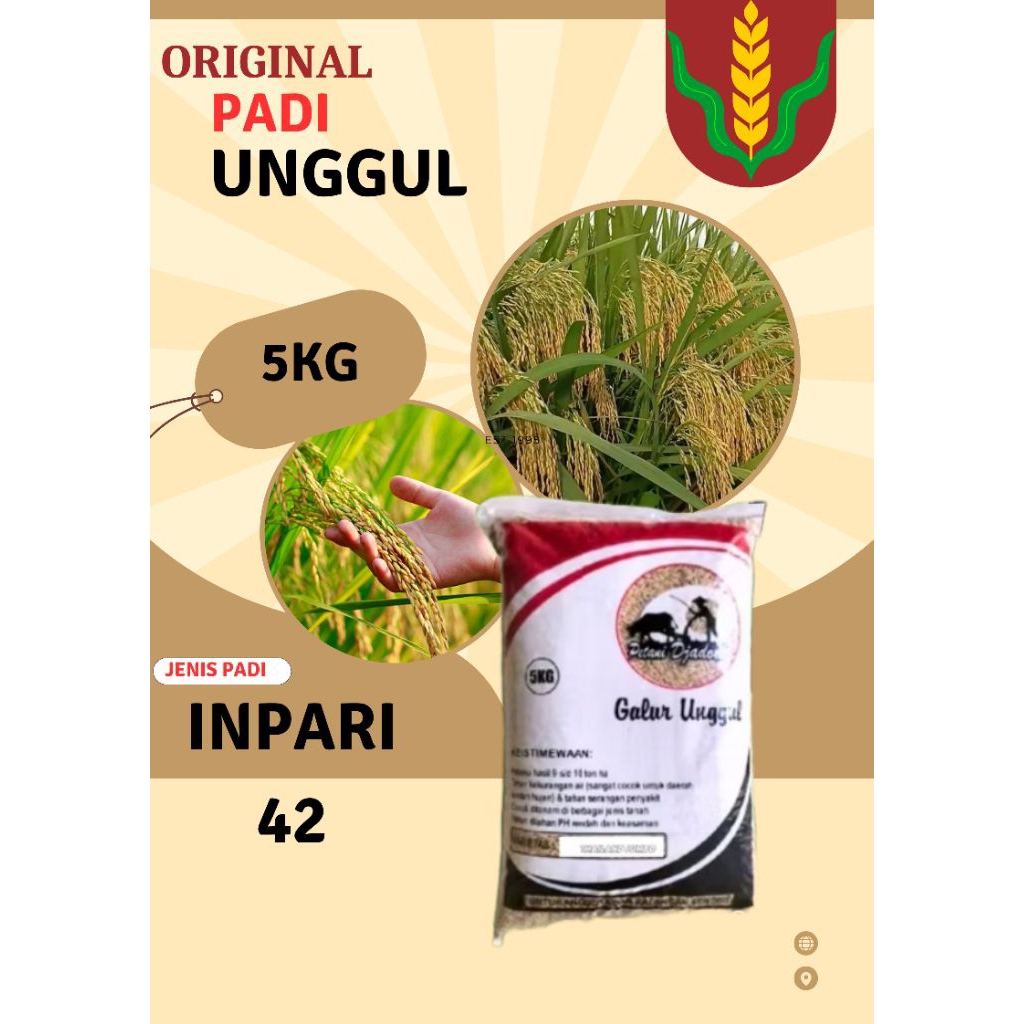 PADI UNGGUL BERKUALITAS INPARI42 KEMASAN 5KG