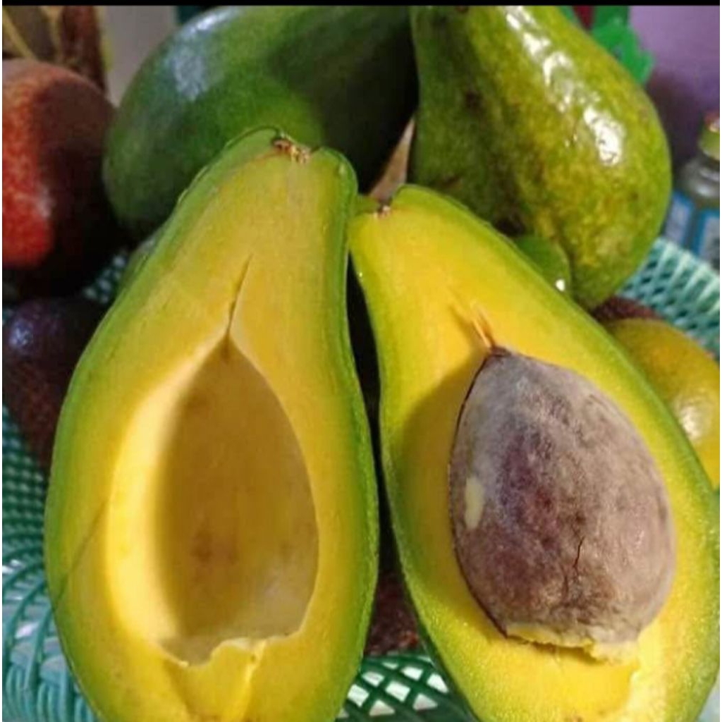 Alpukat Mentega Padang