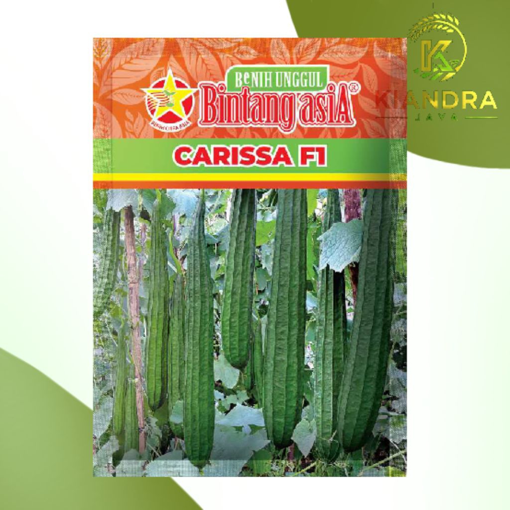 BIBIT CARRISA GAMBAS ISI 10GRAM DARI BINTANG ASIA.