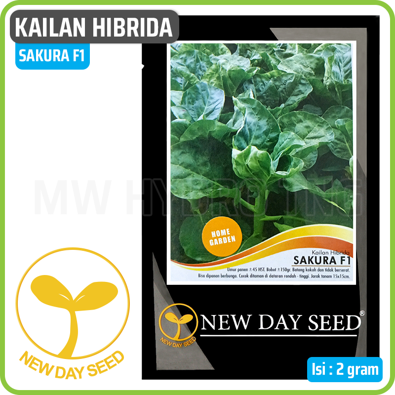 Benih Kailan - Sakura F1 (New Day Seed)