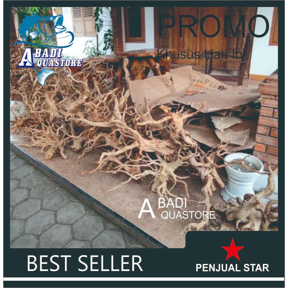 AKAR RASAMALA AQUASCAPE | DEKORASI AQUARIUM AQUASCAPE | KAYU RASAMALA AQUASCAPE