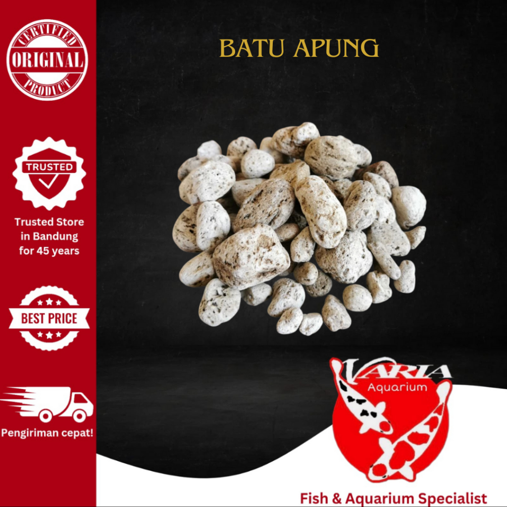 Batu Apung Media Filter Aquarium Kolam Batu Apung Pumice Media Filter