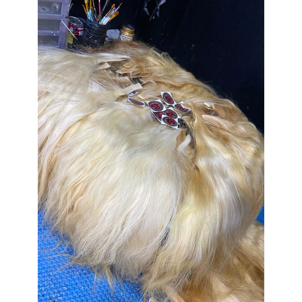 EKOR SAPI PUTIH JUMBO ( KWALITAS SURI KUDA ) REAL PICT