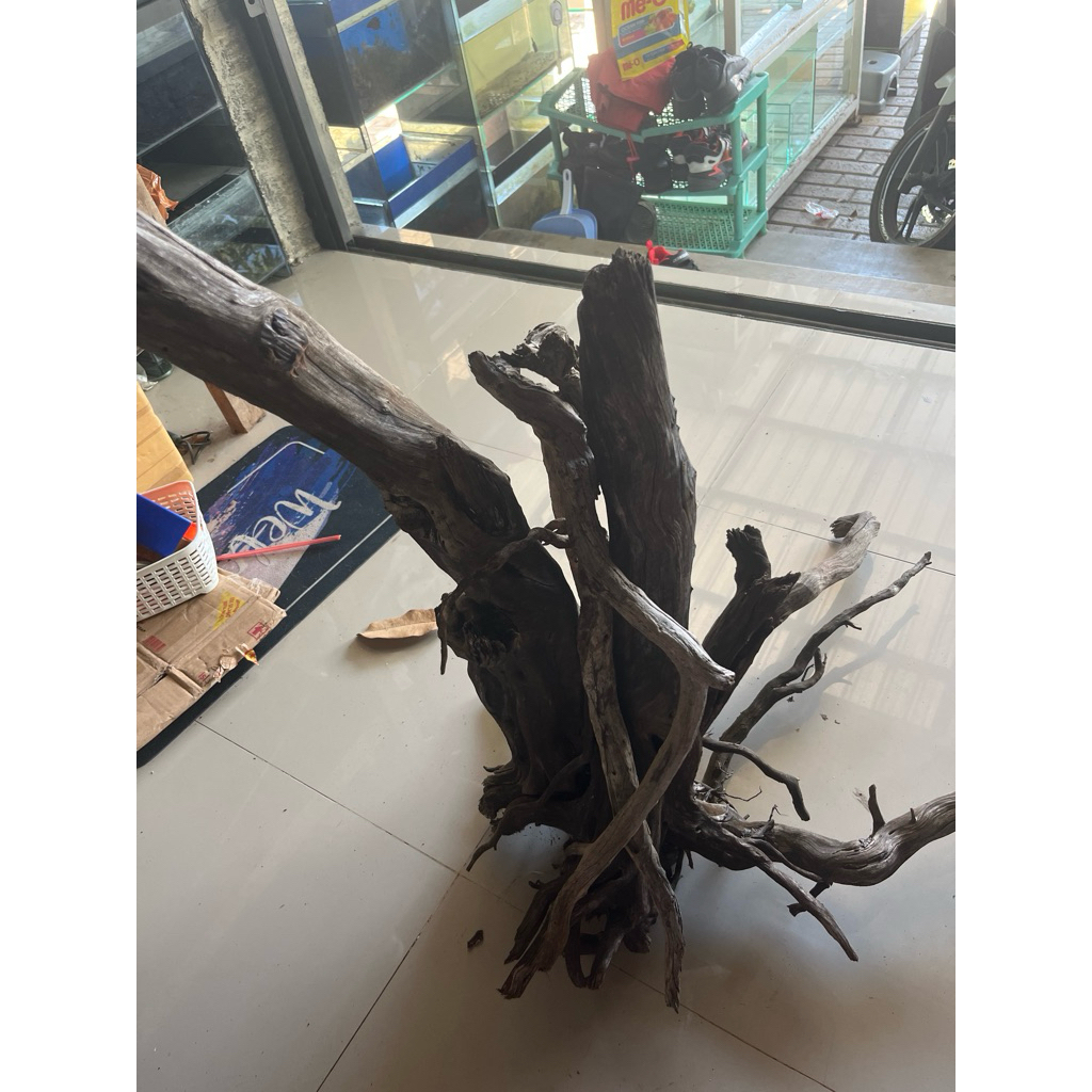 kayu santigi laut aquascape tenggelam JUMBO SIZE berat >10kg