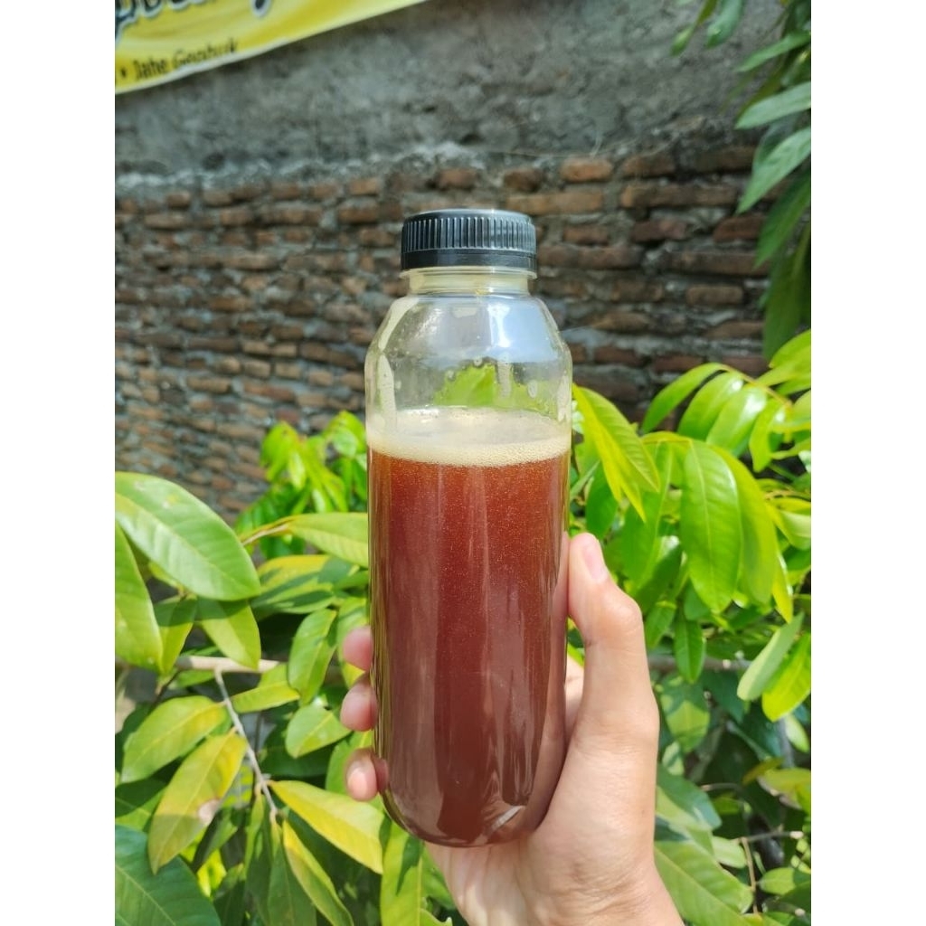 Madu Klanceng Trigona leavicep Kemasan 500gr