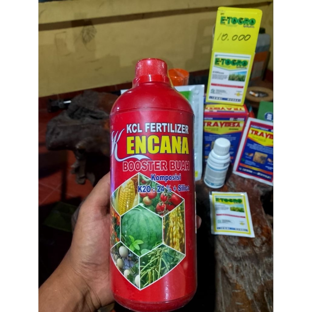 KCL Fertilizer Booster Buah komposisi k20 24+ Silika