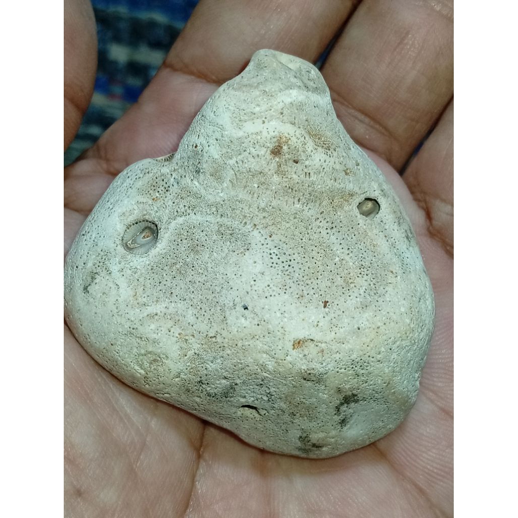 batu mutiara GG
