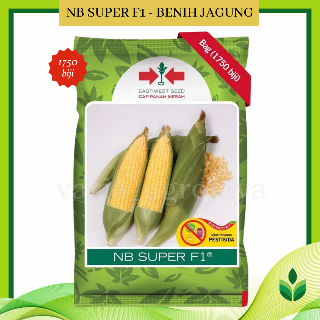 Benih Bibit Jagung Manis NB Super 1750 Biji - Cap Panah Merah