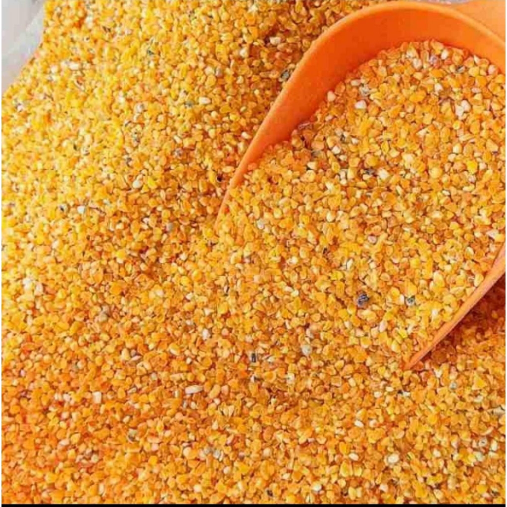 JAGUNG MENIR 25 KG PAKAN AYAM MAKANAN AYAM