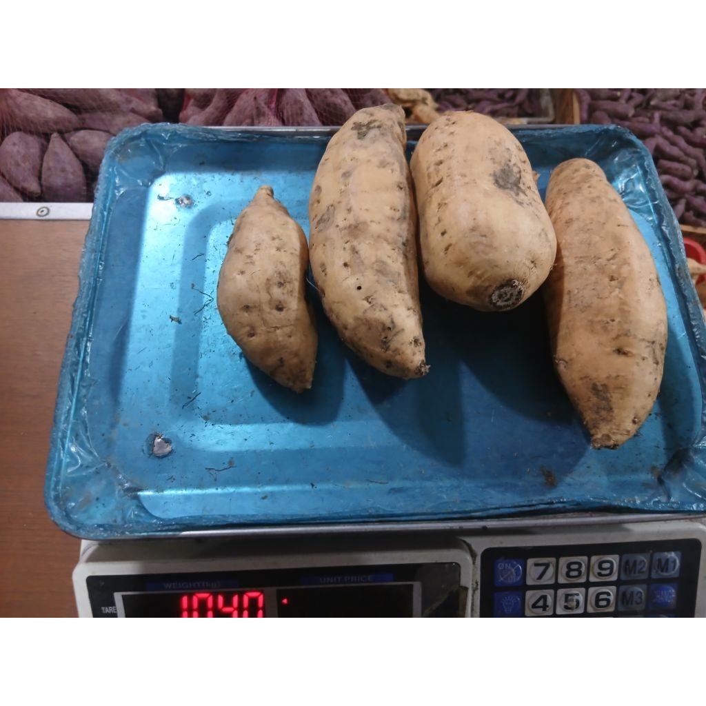 Ubi cilembu madu 1 kg / Ubi cilembu madu mentah 1 kg /