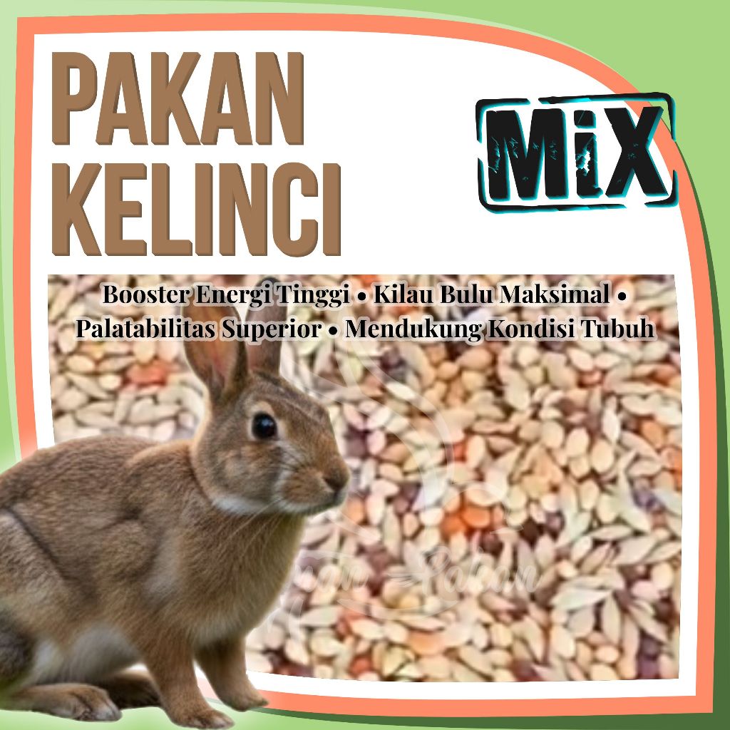 Pakan Kelinci Biji Sawi Kenari Seed Milet Merah Milet Kuning