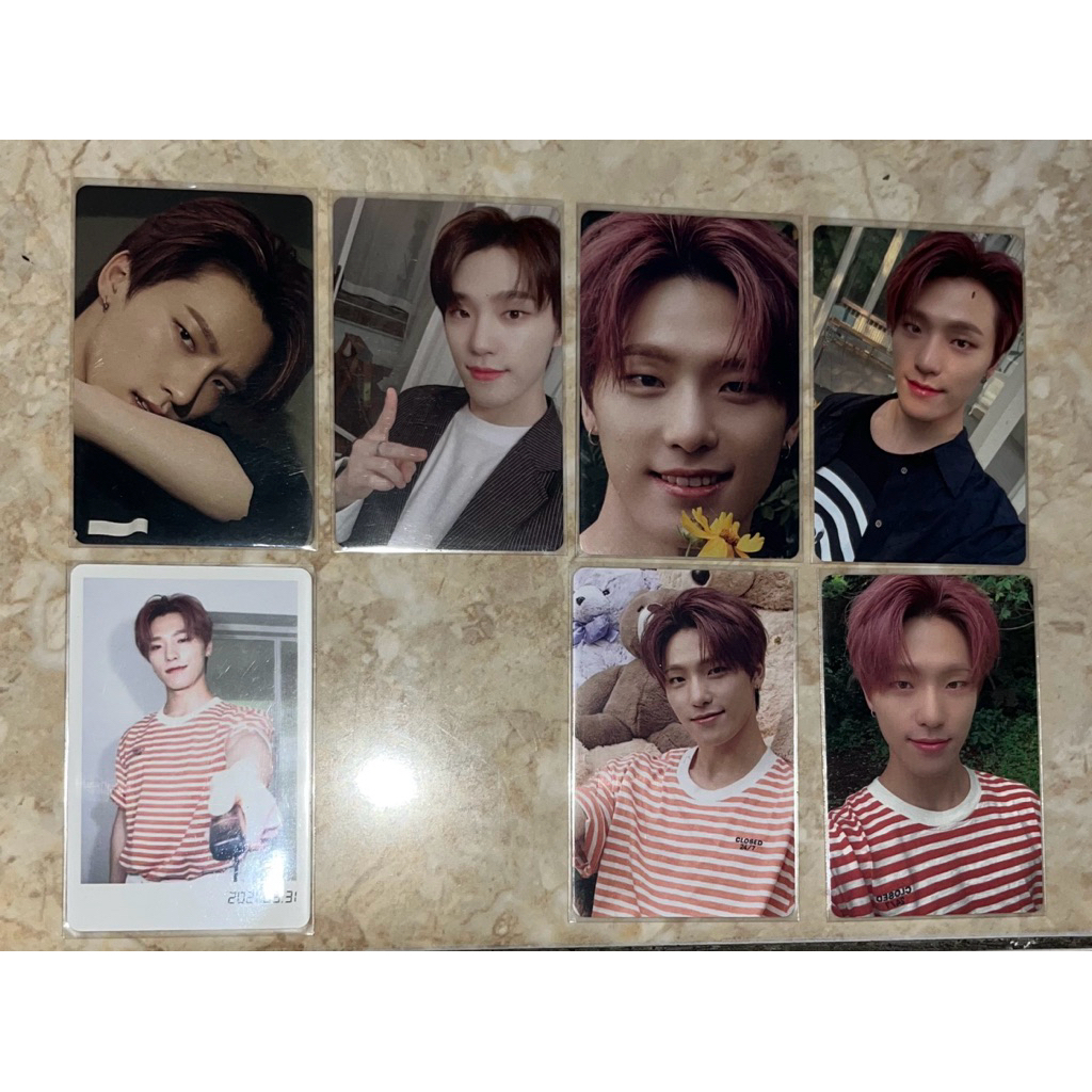 Photocard Seventeen Dino