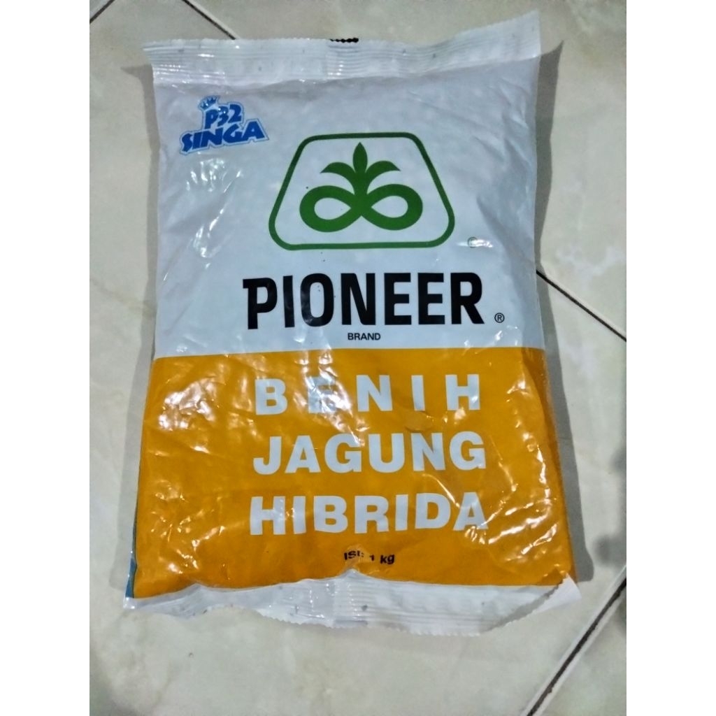 Benih jagung p32 singa