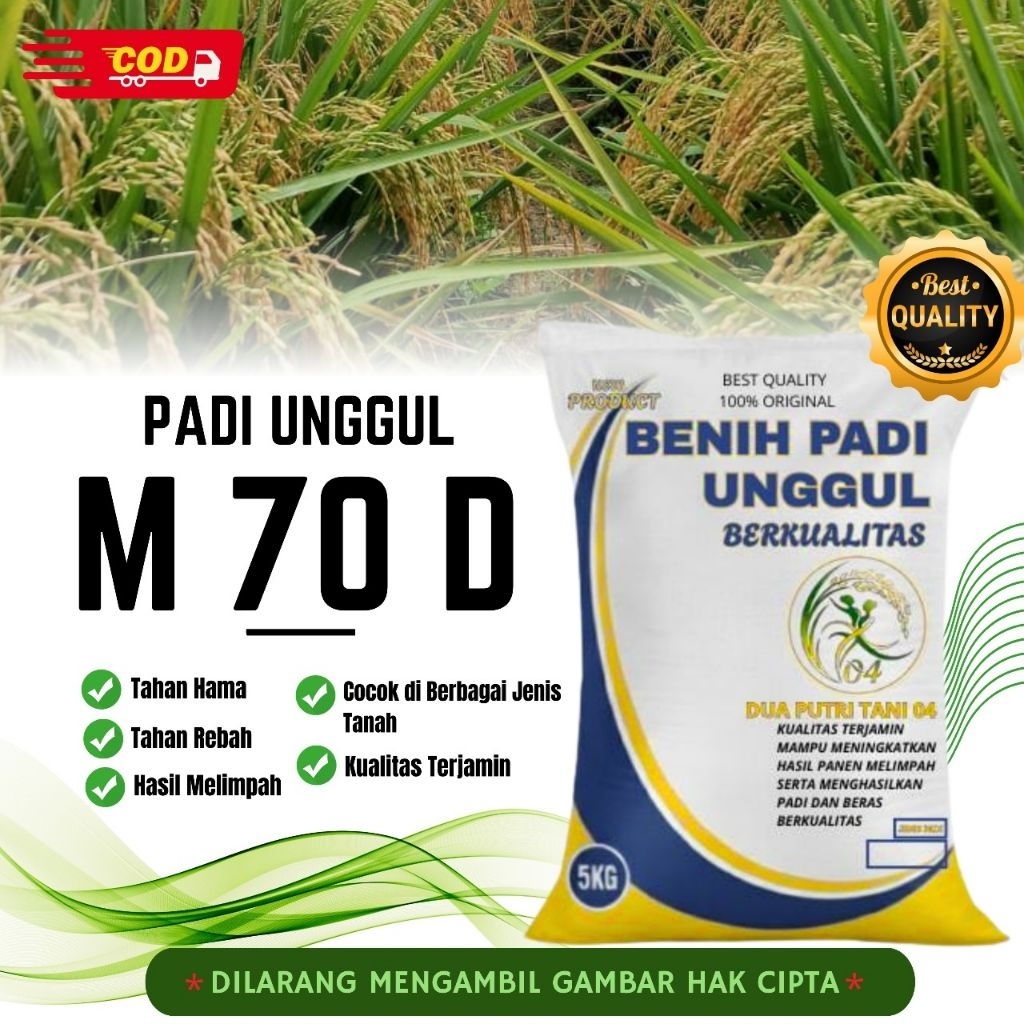 bibit PADI M70 D kemasan 5kg