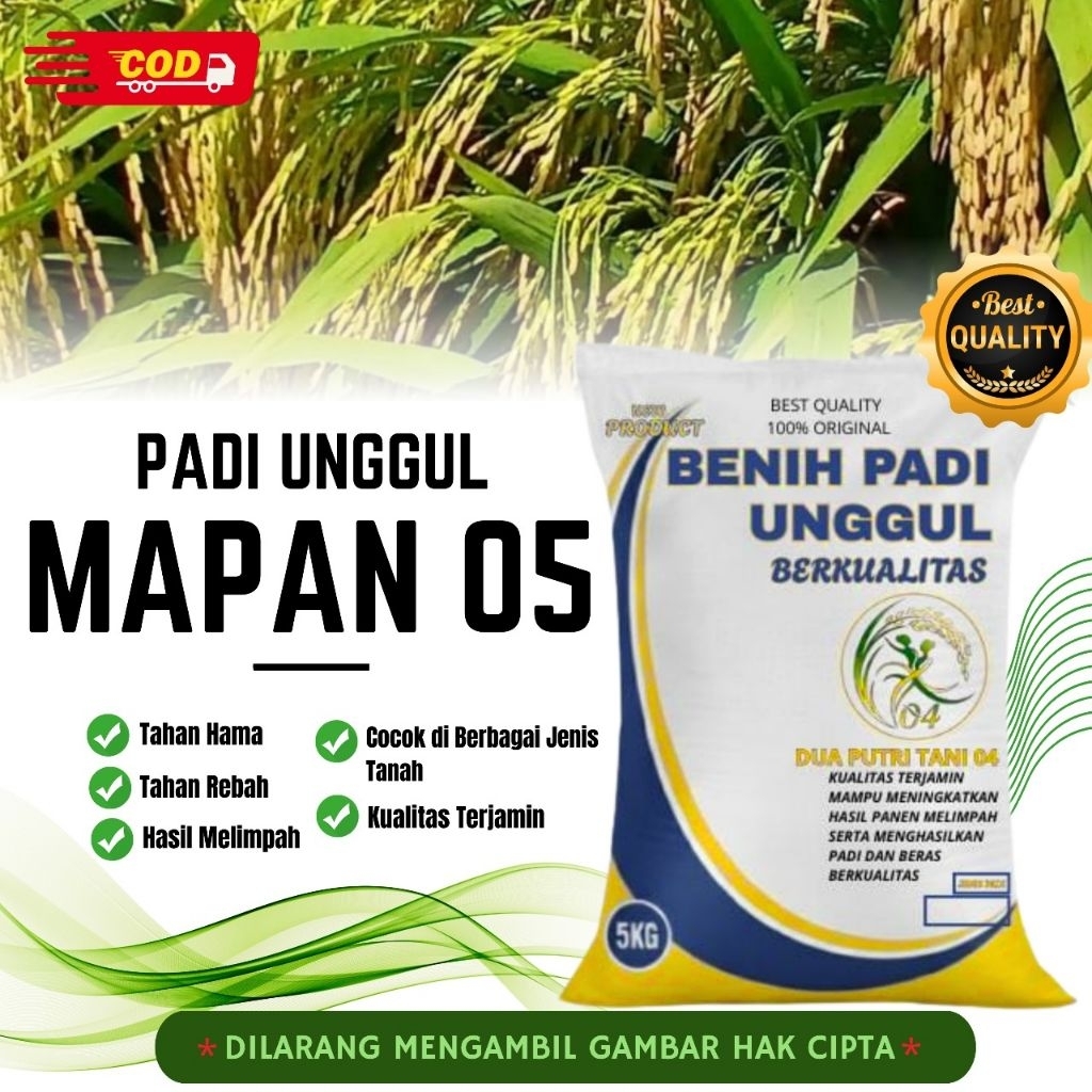 bibit PADI MAPAN 05 kemasan 5kg