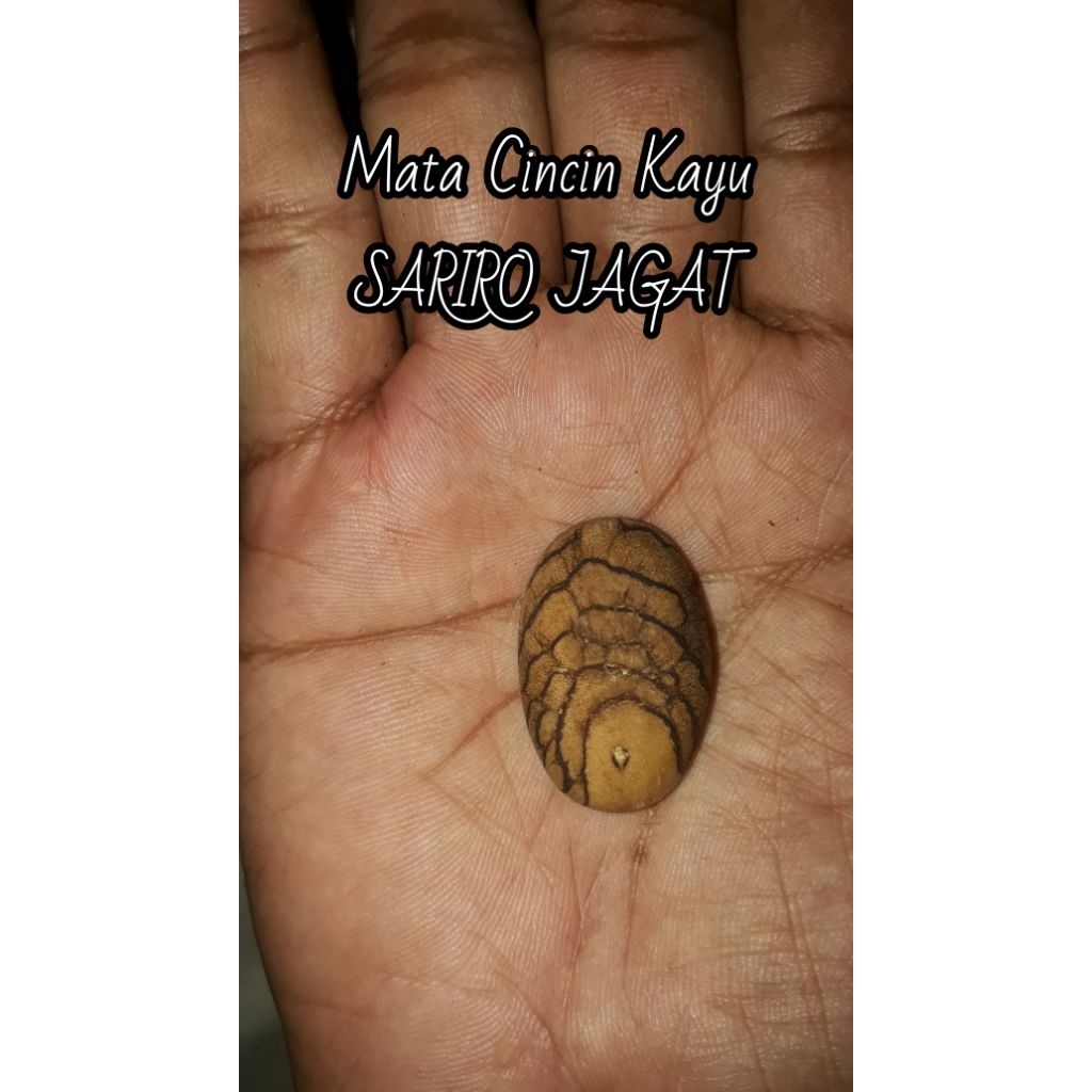 Mata Cincin Kayu Bertuah SARIRO JAGAT