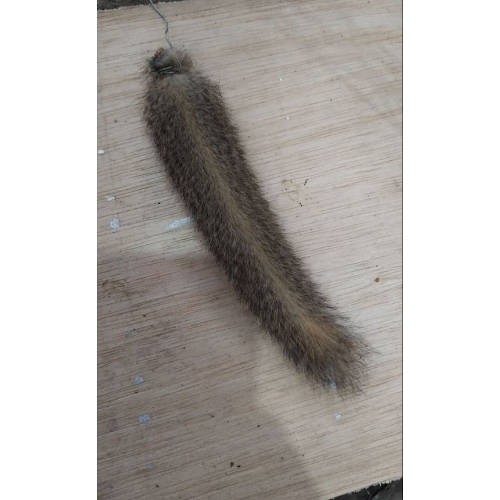 Bahan gantungan kunci_kerajinan_ekor-tupai