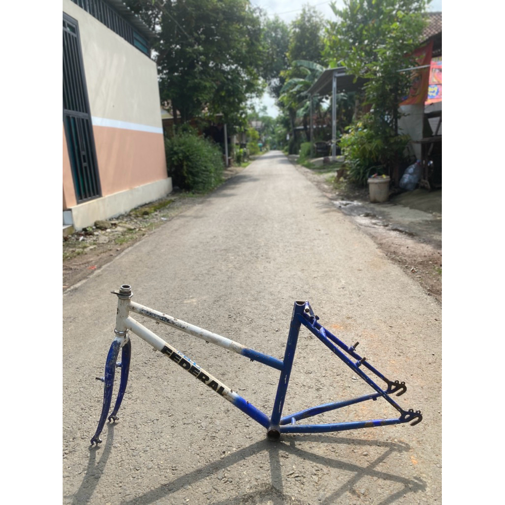 Frame set federal lady stray cat roda 24