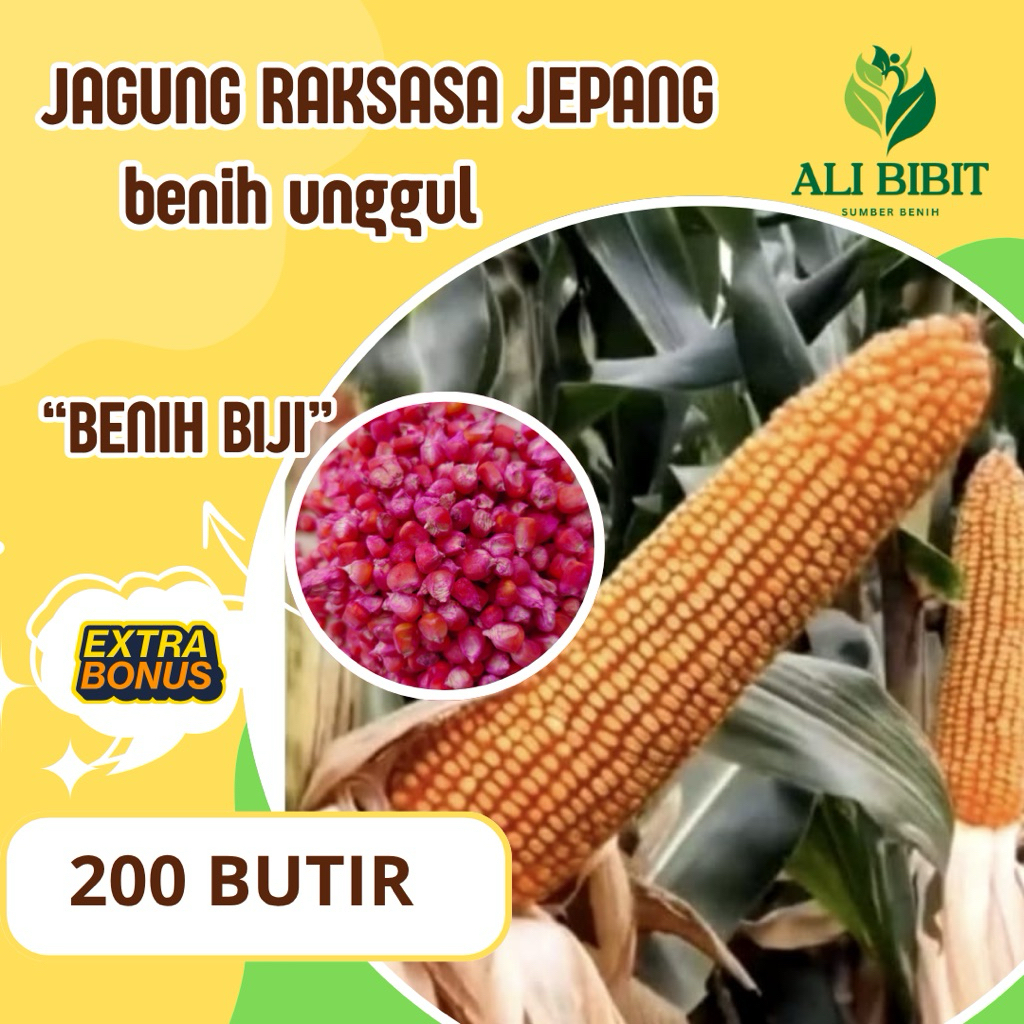 200 Butir > Biji Benih Jagung Raksasa Jepang> Bibit Jagung Raksasa> Bonus Benih