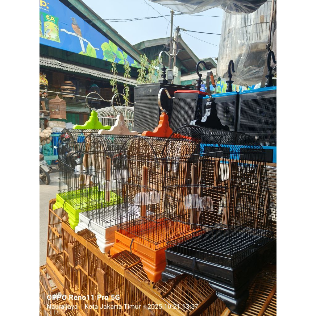 KANDANG SANGKAR PLECI KOLIBRI OVAL BEST MINI