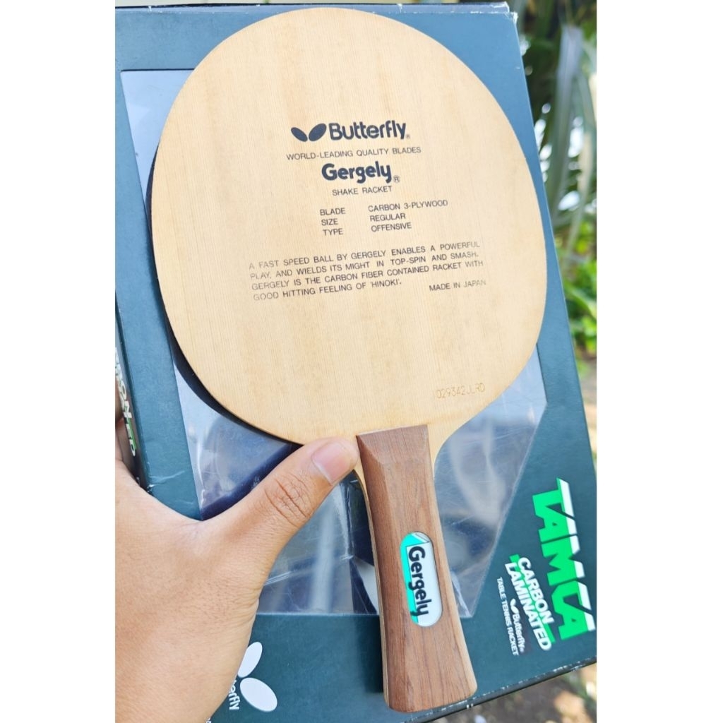 Butterfly Gergely Kupu Kecil