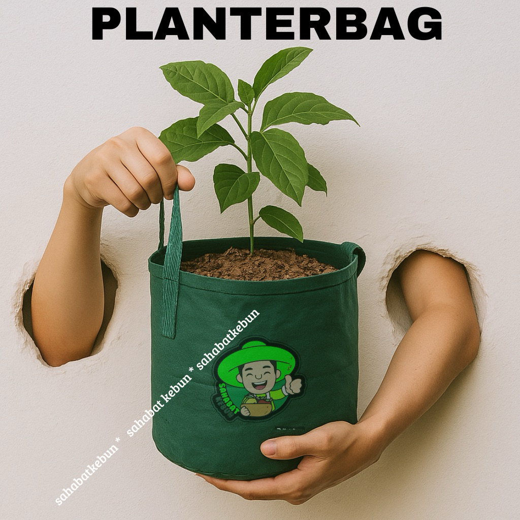Planterbag Easy Grow