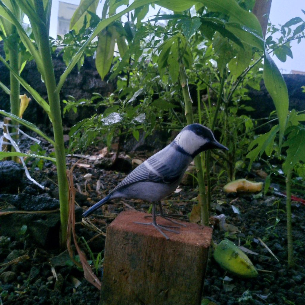 boneka mainan/jontrot burung glatik batu