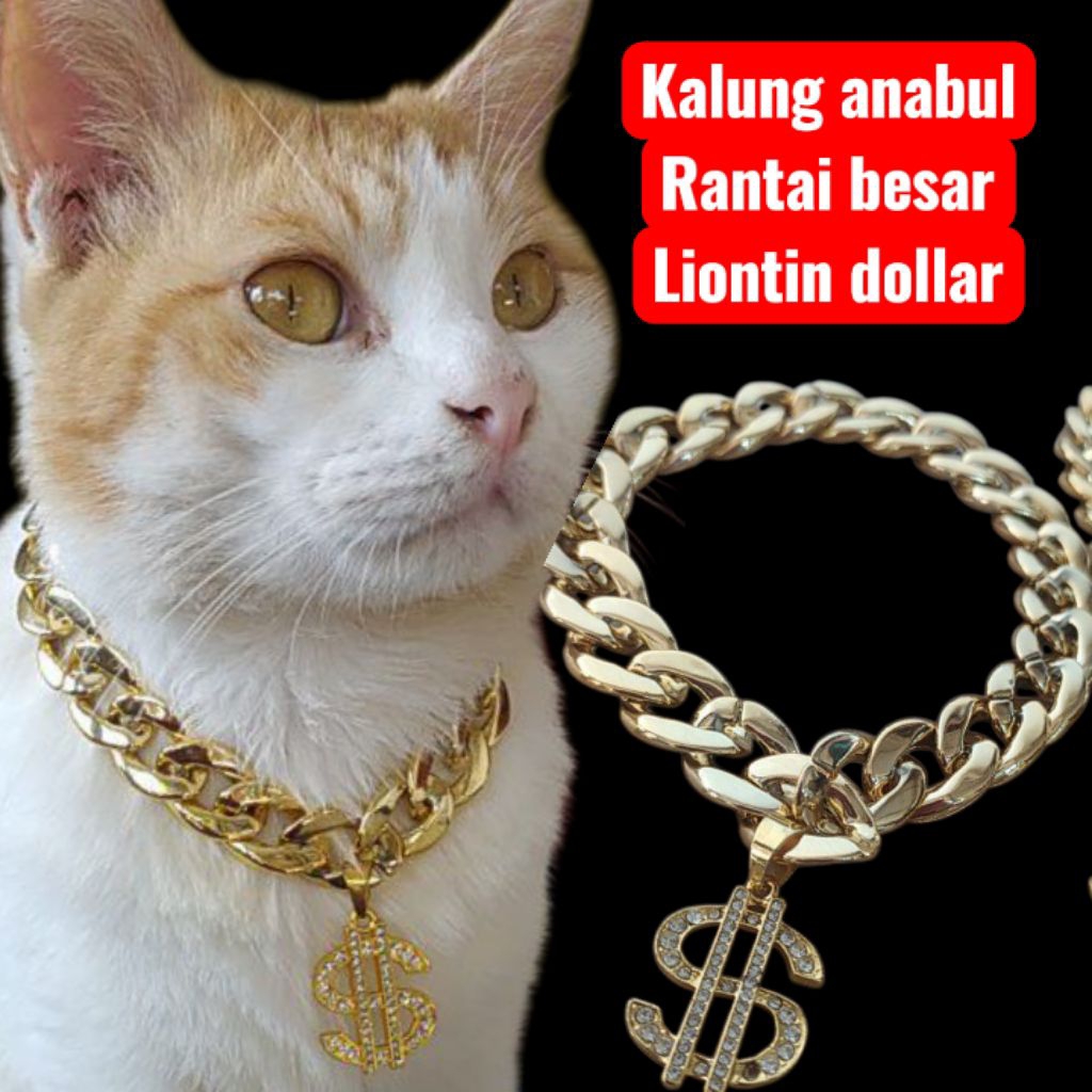 kalung anabul kalung kucing kalung anjing rantai gold BESAR liontin dollar gold