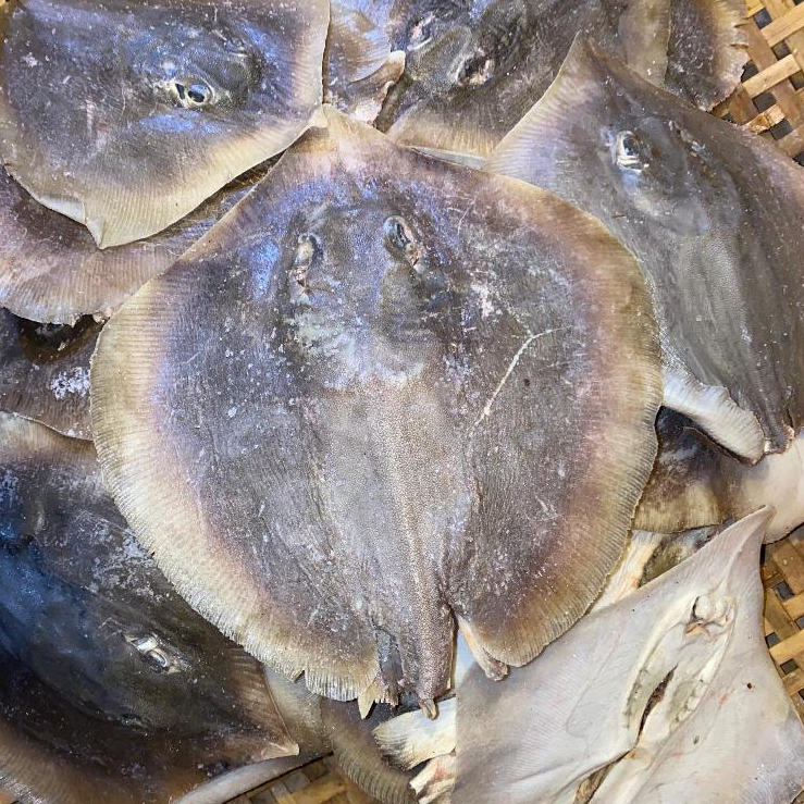 Ikan Asin Pari batok / Pari Lalay