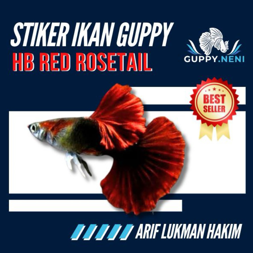 STIKER IKAN GUPPPY HB RED ROSETAIL