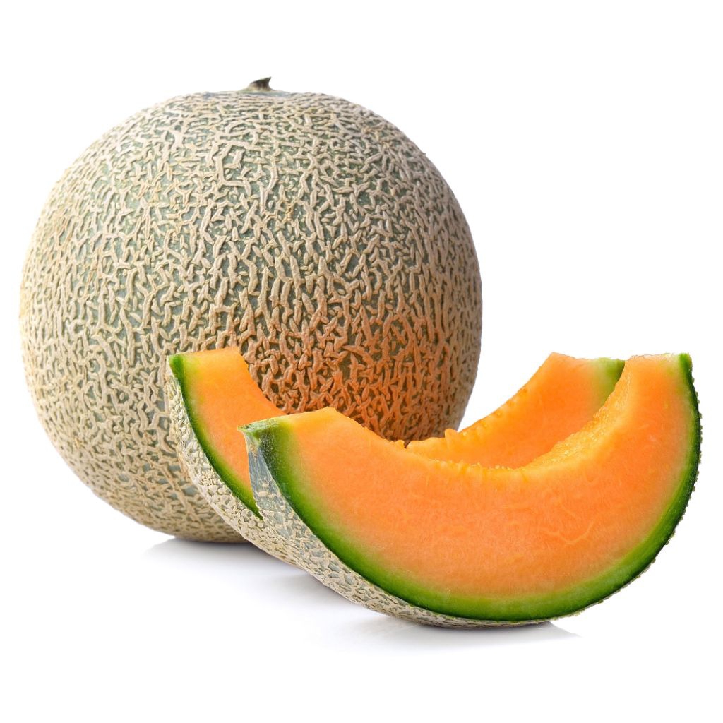 ( 10 butir ) biji/benih melon cantaloupe