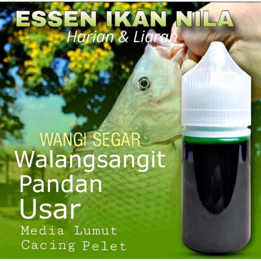 Essen Khusus Ikan Nila Liaran Dan Kolam Paling Manjur Essen Khusus Ikan Nila Media Lumut Cacing Band