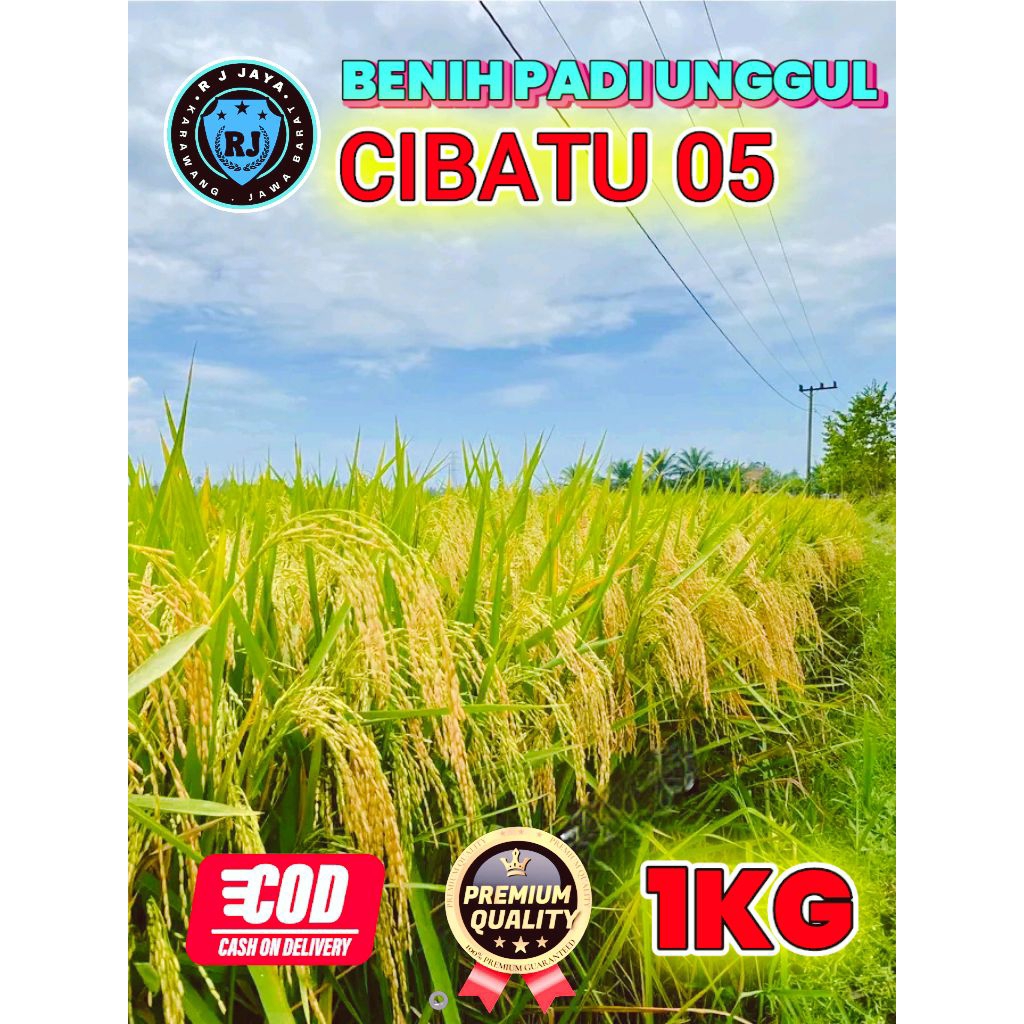 BENIH PADI BERKUALITAS CIBATU 05 KEMASAN 1KG