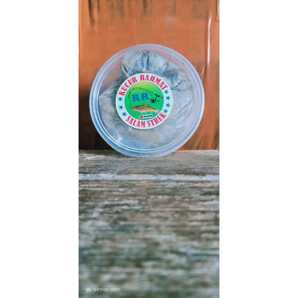 umpan pancingKucurRR