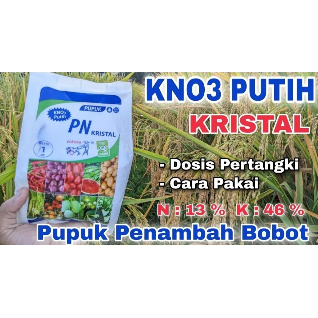 KNO3pak tani(1kg)putih