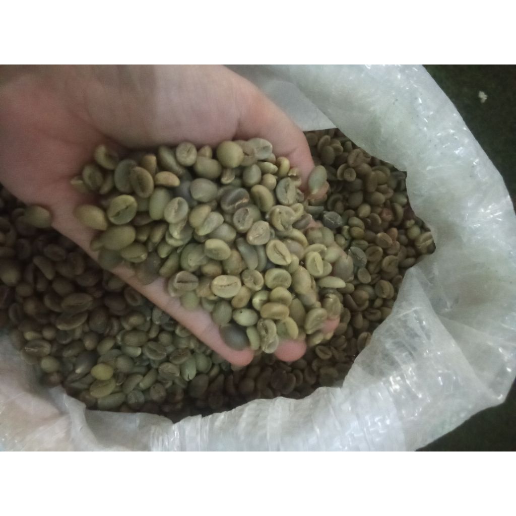 GREENBEAN/BIJI KOPI MENTAH/ROBUSTA