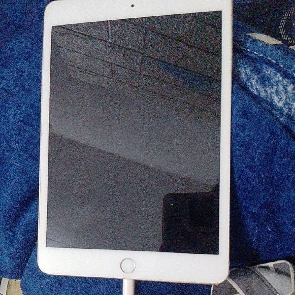 iPad mini 3 second.