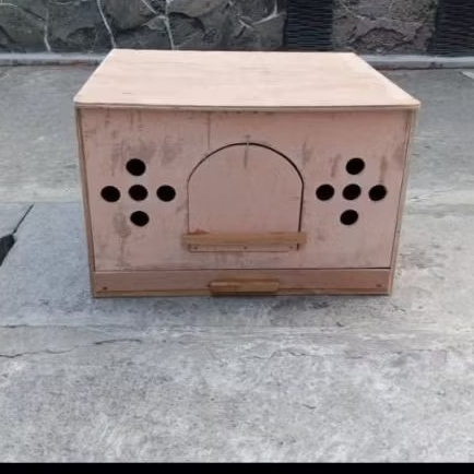 gupon merpati kolong dan merpati balap