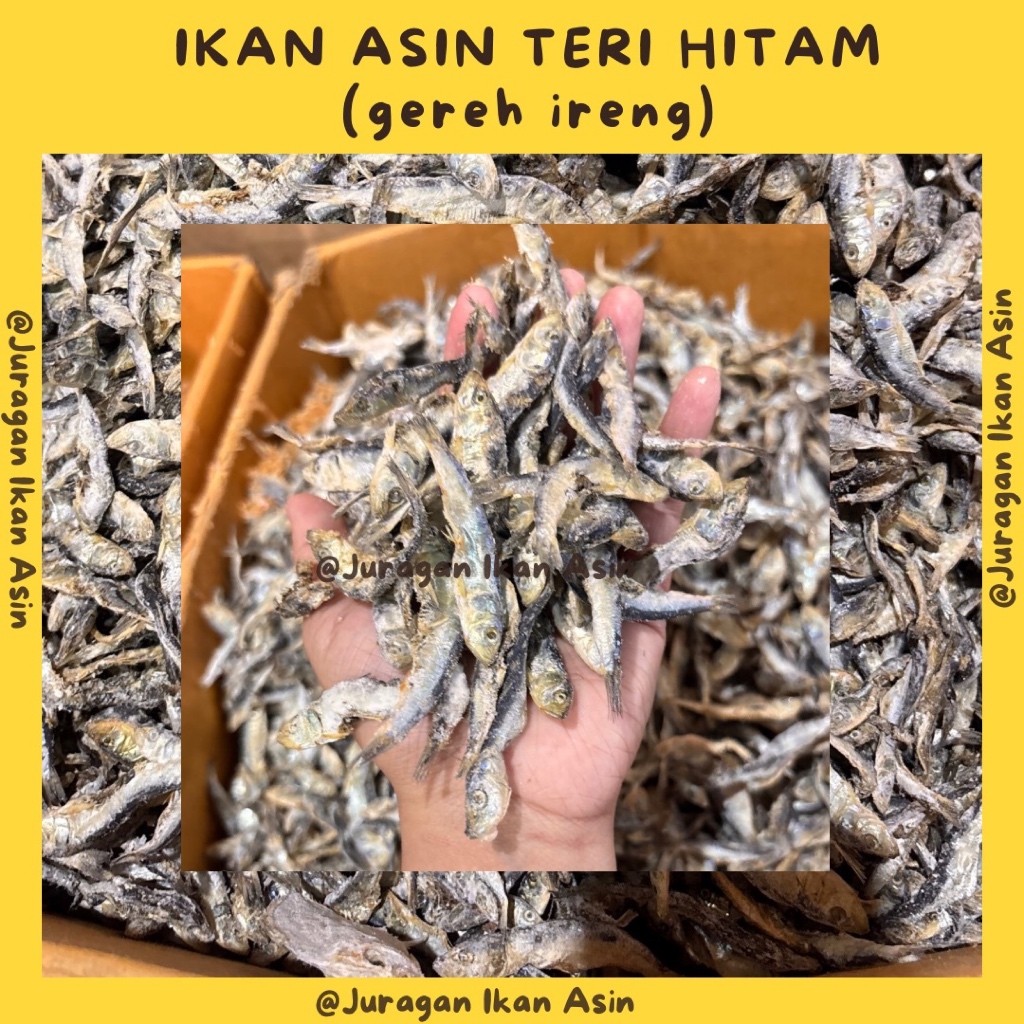 Ikan Asin Teri Batu / Teri Hitam / Teri Samenit 250 g | 500 g (Kering, Asin, Gurih)