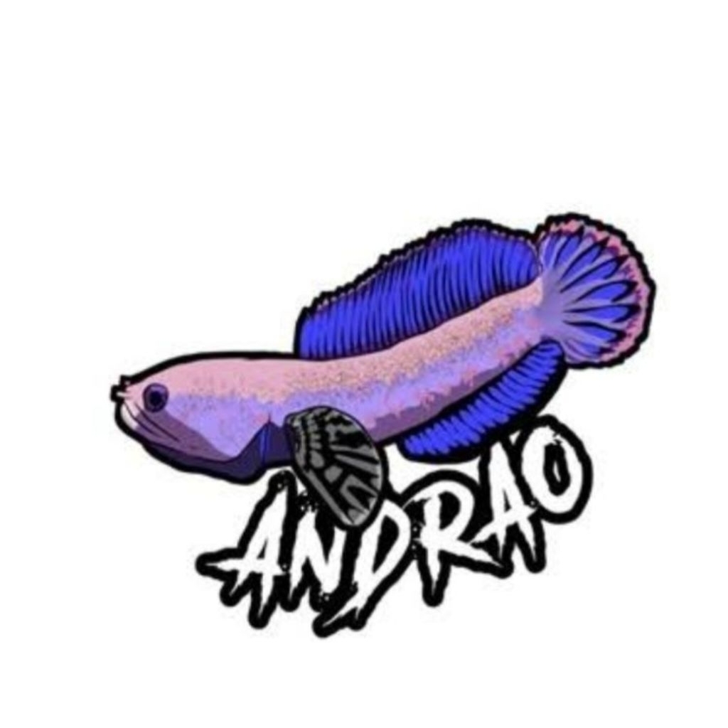 stiker Chana andrao di adu 4_5_6cm murah