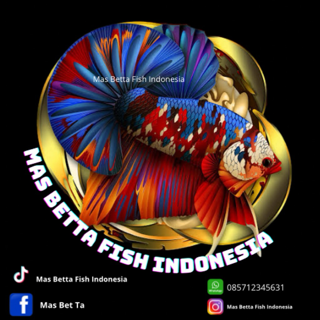 avatar goku dan avatar nebula